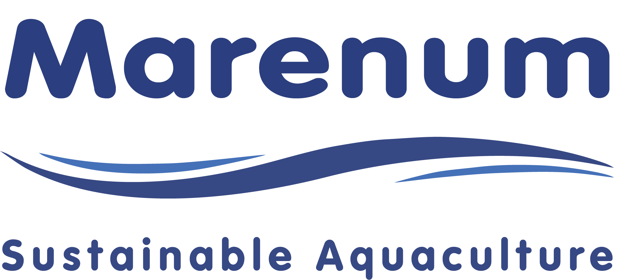 Marenum Logo